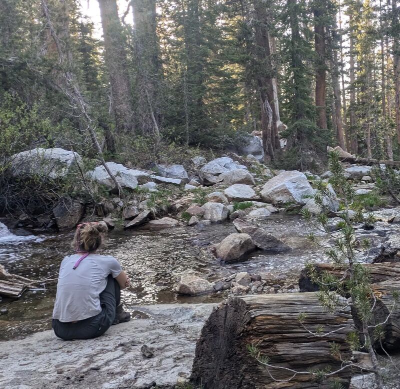A woman sits on a rock by a stream in a forest. The stream is surrounded by rocks and trees. The woman is wearing a white shirt and dark pants. She is looking at the stream. The forest is dense and green. The sun is shining through the trees.